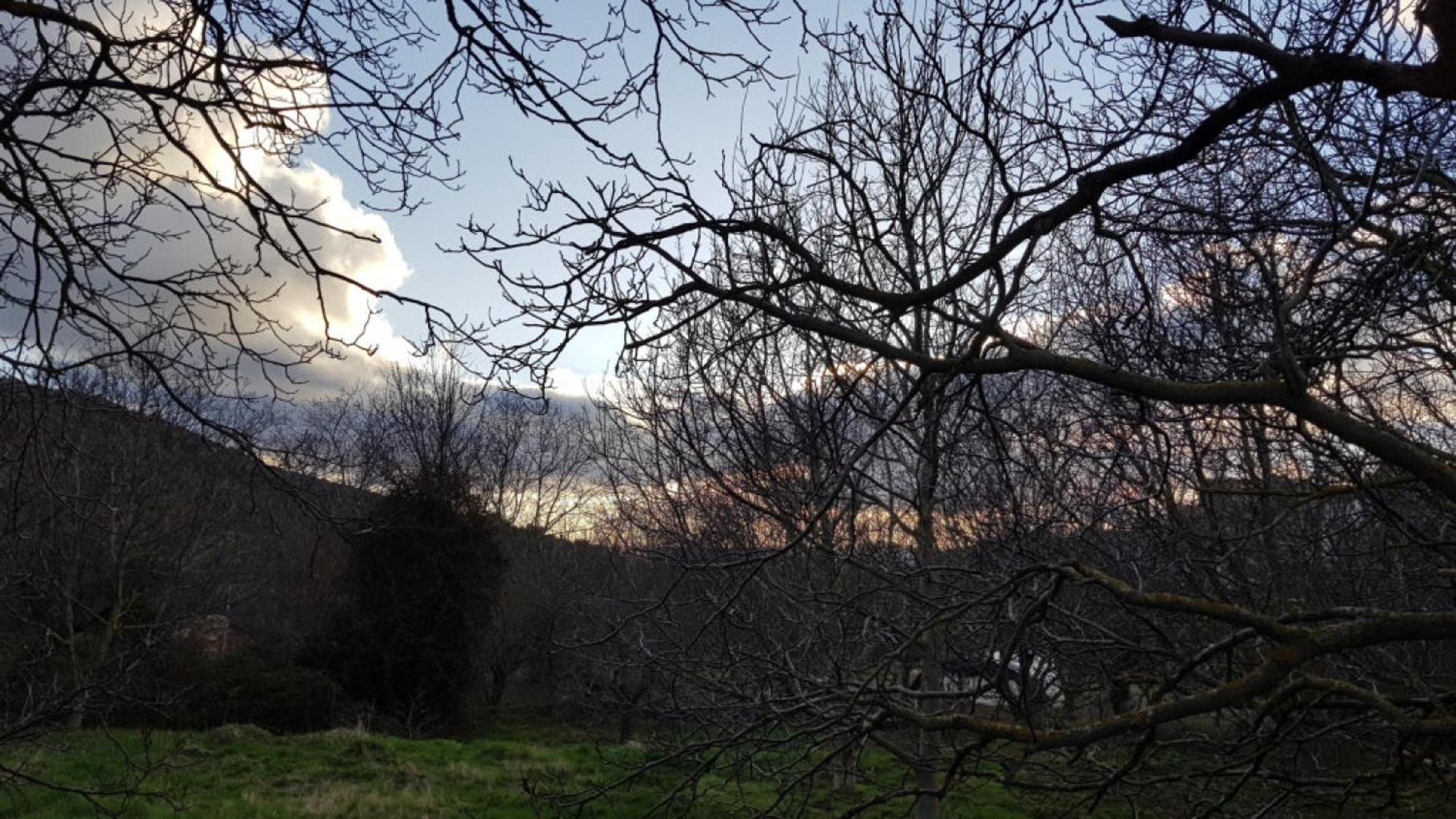 Las Abadias San Felices de los Gallegos Exteriör bild